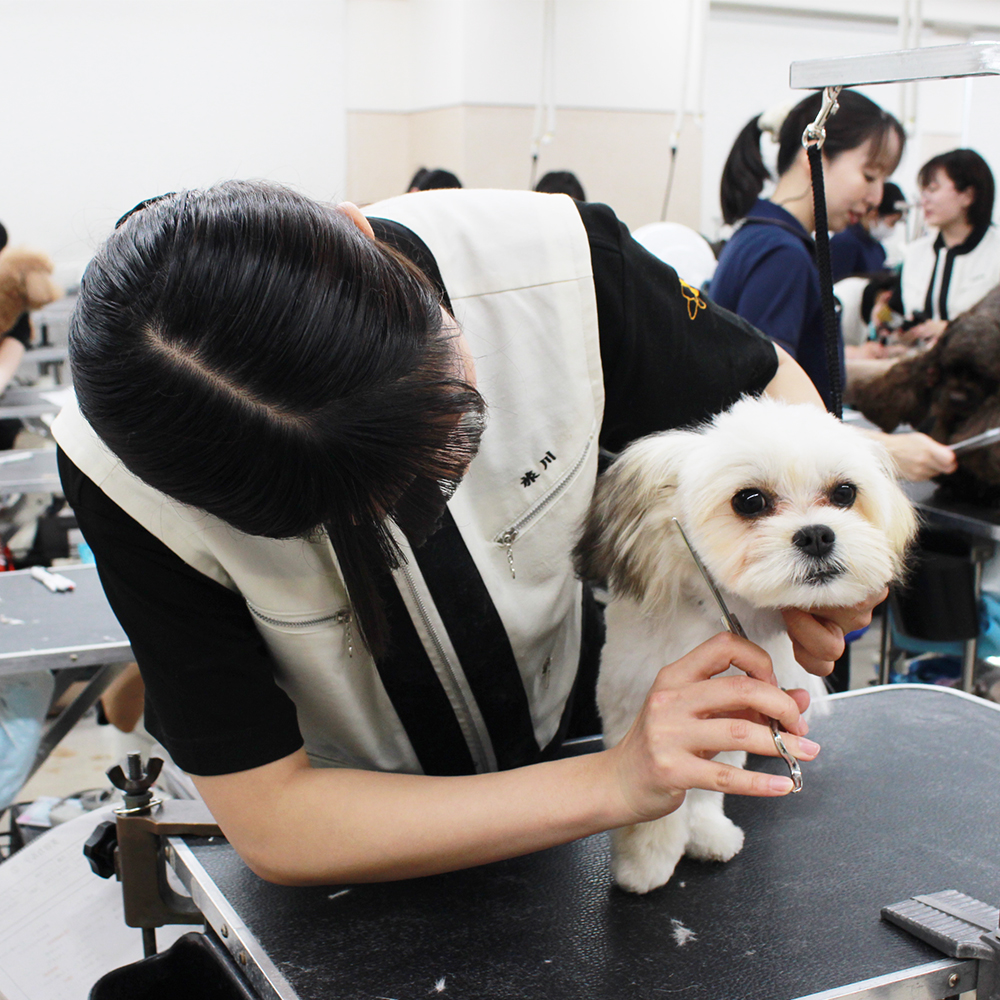 今日もかわいいお客様！